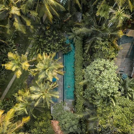 Dreamtime Hotel Hikkaduwa Bagian luar foto