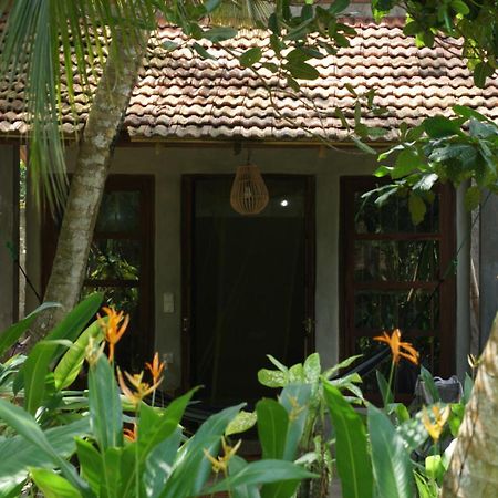 Dreamtime Hotel Hikkaduwa Bagian luar foto