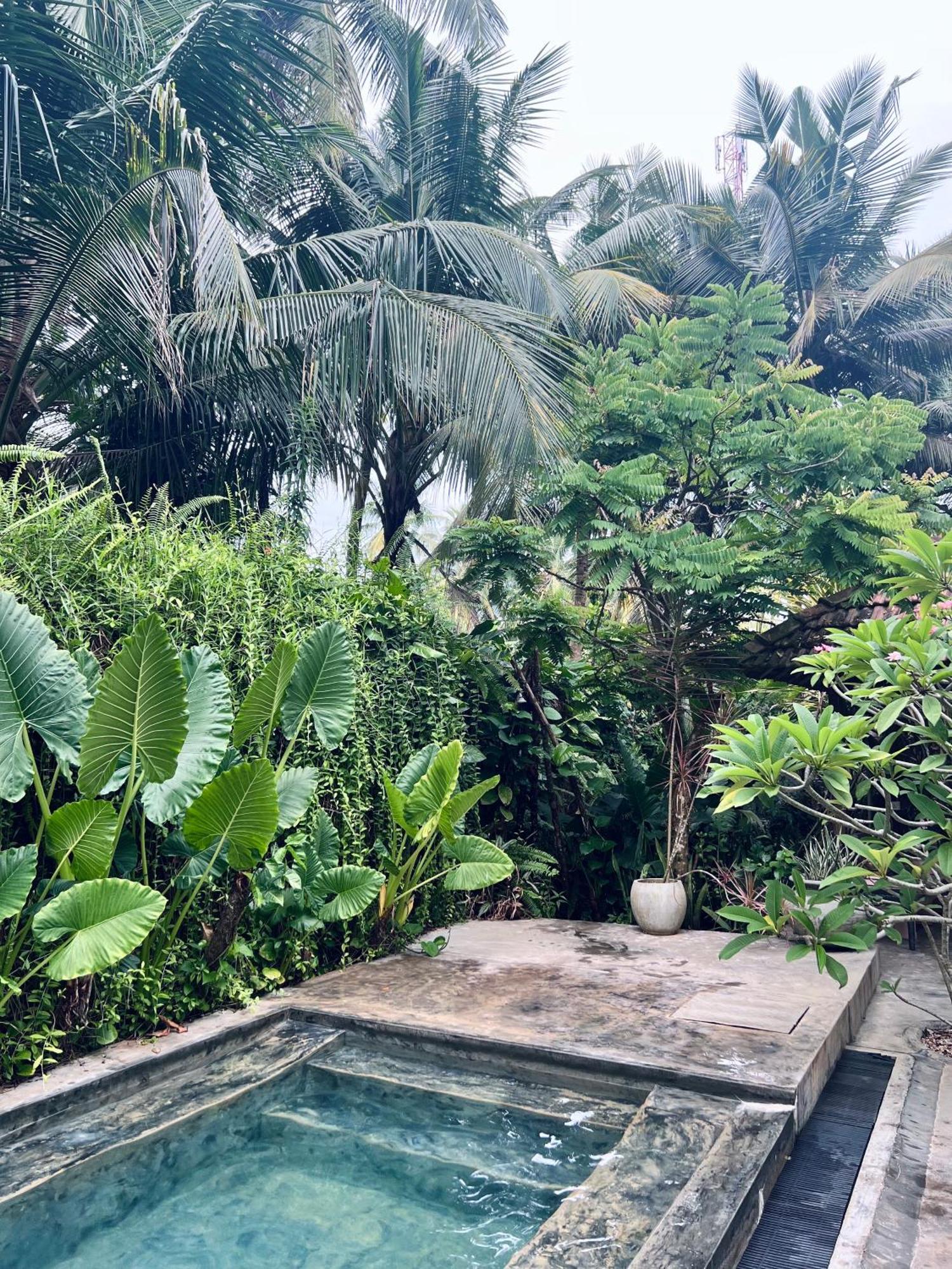 Dreamtime Hotel Hikkaduwa Bagian luar foto