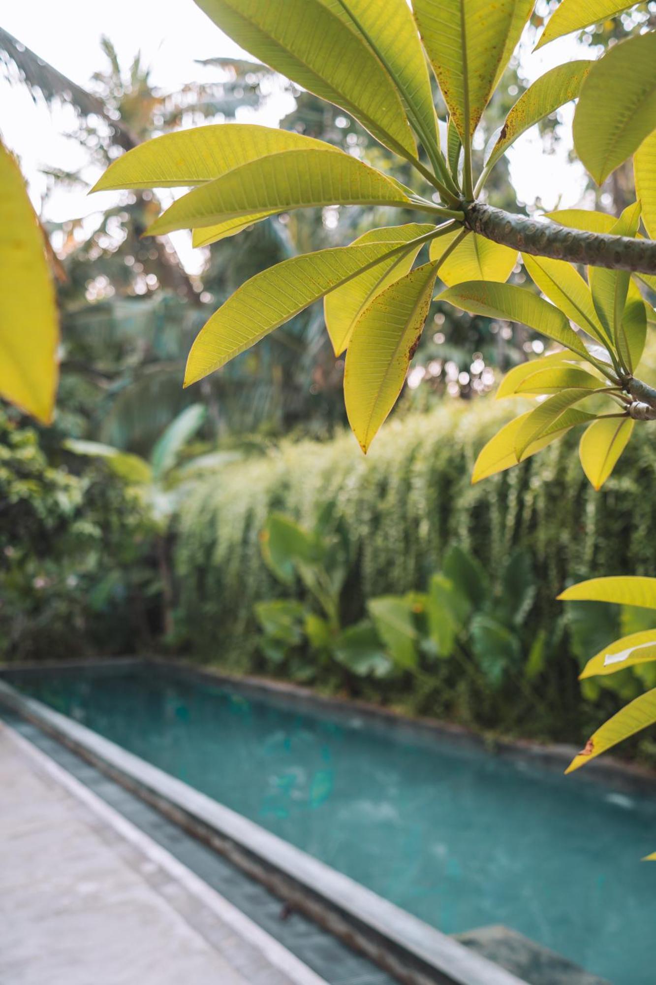 Dreamtime Hotel Hikkaduwa Bagian luar foto