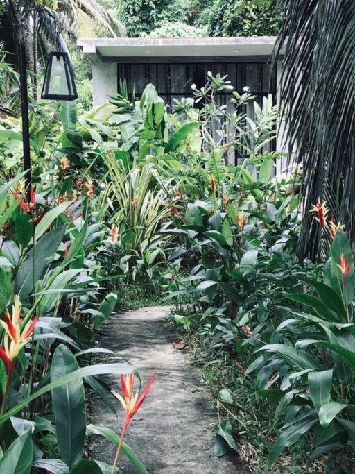 Dreamtime Hotel Hikkaduwa Bagian luar foto