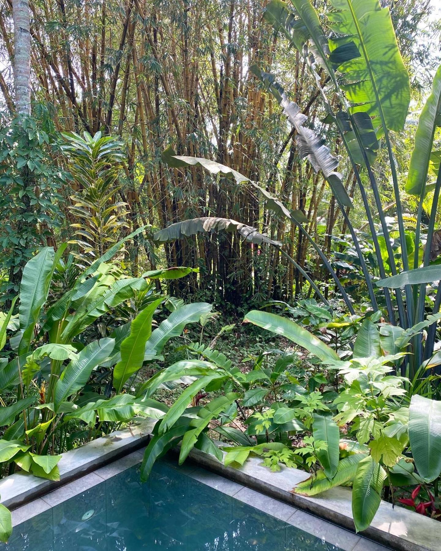 Dreamtime Hotel Hikkaduwa Bagian luar foto
