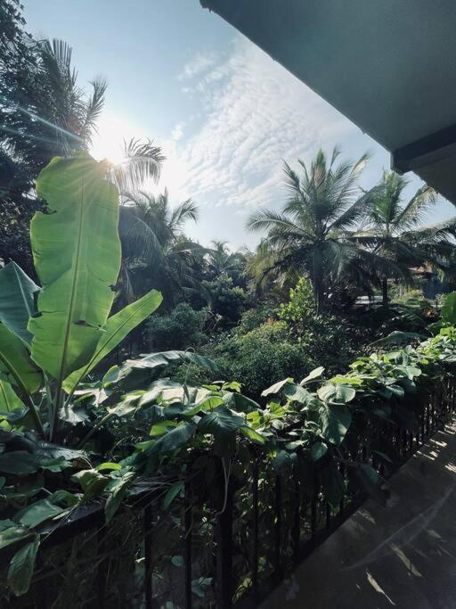 Dreamtime Hotel Hikkaduwa Bagian luar foto