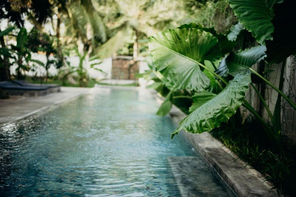 Dreamtime Hotel Hikkaduwa Bagian luar foto